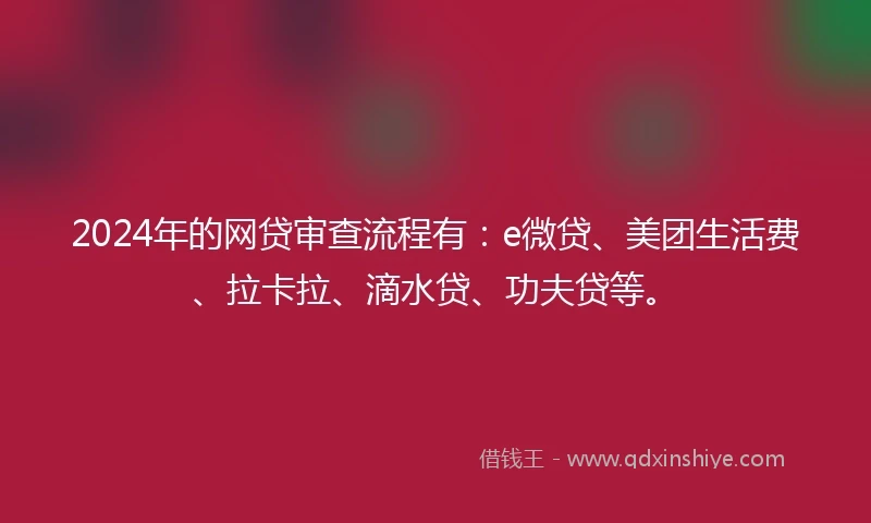 2024年的网贷审查流程有：e微贷、美团生活费、拉卡拉、滴水贷、功夫贷等。
