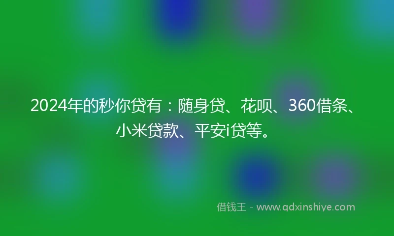 2024年的秒你贷有：随身贷、花呗、360借条、小米贷款、平安i贷等。