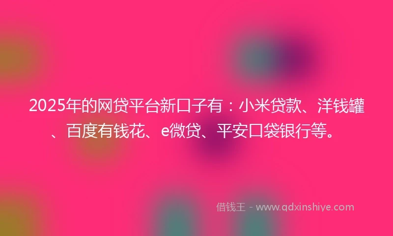2025年的网贷平台新口子有：小米贷款、洋钱罐、百度有钱花、e微贷、平安口袋银行等。
