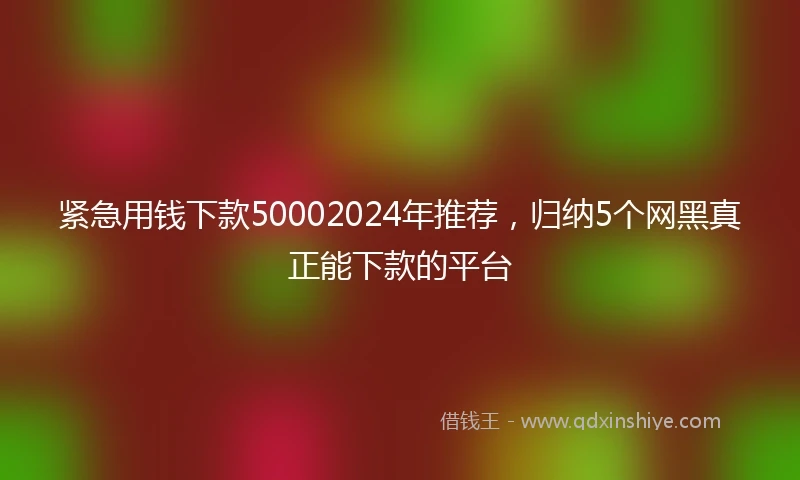 紧急用钱下款50002024年推荐，归纳5个网黑真正能下款的平台