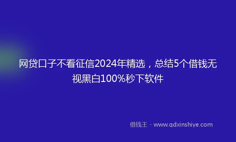 网贷口子不看征信2024年精选，总结5个借钱无视黑白100%秒下软件