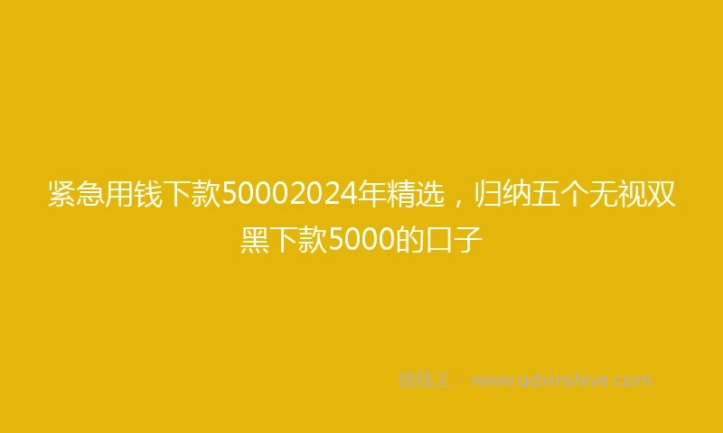 紧急用钱下款50002024年精选，归纳五个无视双黑下款5000的口子
