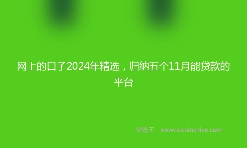 网上的口子2024年精选，归纳五个11月能贷款的平台