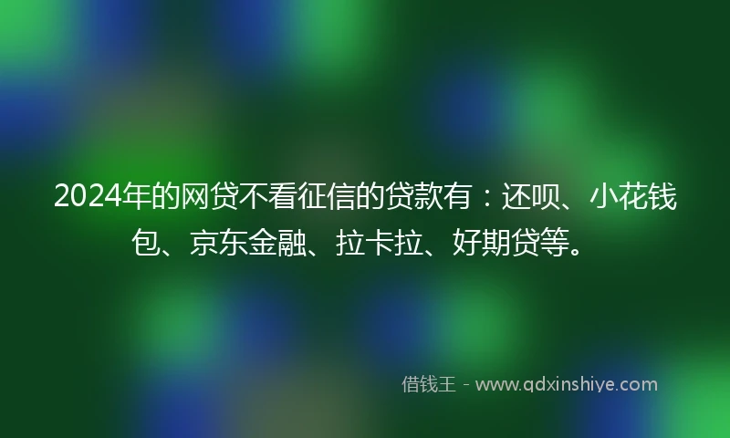 2024年的网贷不看征信的贷款有：还呗、小花钱包、京东金融、拉卡拉、好期贷等。
