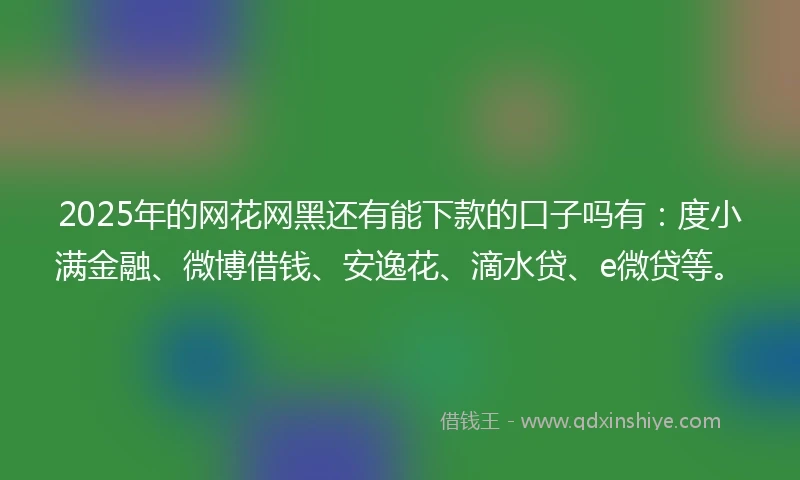 2025年的网花网黑还有能下款的口子吗有：度小满金融、微博借钱、安逸花、滴水贷、e微贷等。