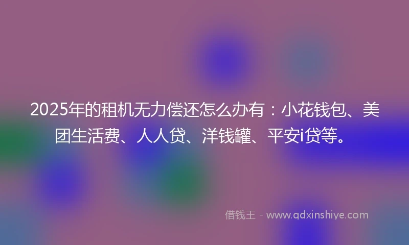 2025年的租机无力偿还怎么办有：小花钱包、美团生活费、人人贷、洋钱罐、平安i贷等。