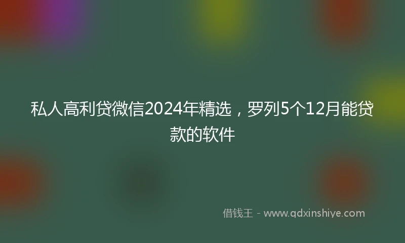 私人高利贷微信2024年精选，罗列5个12月能贷款的软件
