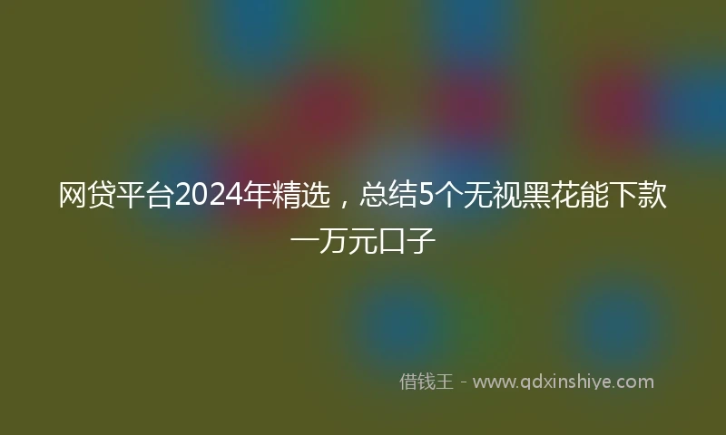 网贷平台2024年精选，总结5个无视黑花能下款一万元口子
