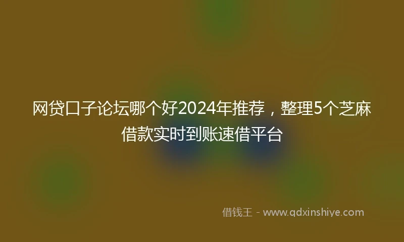 网贷口子论坛哪个好2024年推荐，整理5个芝麻借款实时到账速借平台
