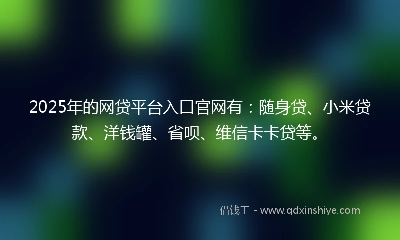 2025年的网贷平台入口官网有：随身贷、小米贷款、洋钱罐、省呗、维信卡卡贷等。