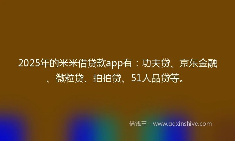 2025年的米米借贷款app有：功夫贷、京东金融、微粒贷、拍拍贷、51人品贷等。