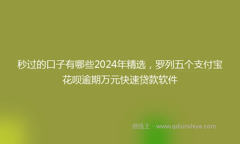 秒过的口子有哪些2024年精选，罗列五个支付宝花呗逾期万元快速贷款软件