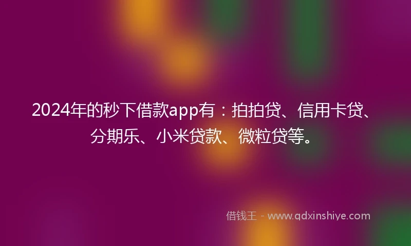 2024年的秒下借款app有：拍拍贷、信用卡贷、分期乐、小米贷款、微粒贷等。