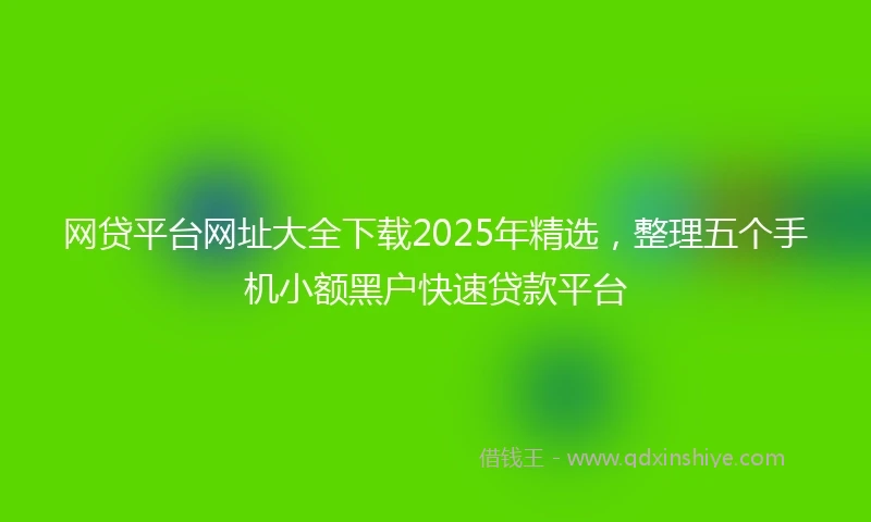 网贷平台网址大全下载2025年精选，整理五个手机小额黑户快速贷款平台