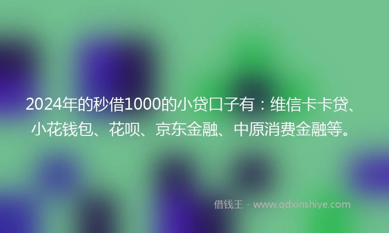 2024年的秒借1000的小贷口子有：维信卡卡贷、小花钱包、花呗、京东金融、中原消费金融等。