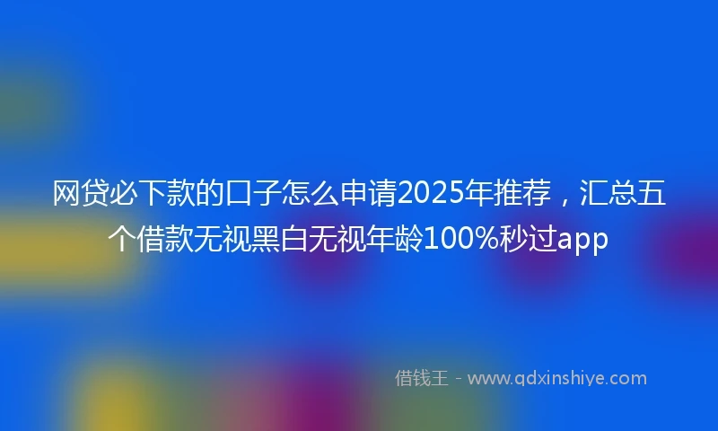 网贷必下款的口子怎么申请2025年推荐，汇总五个借款无视黑白无视年龄100%秒过app