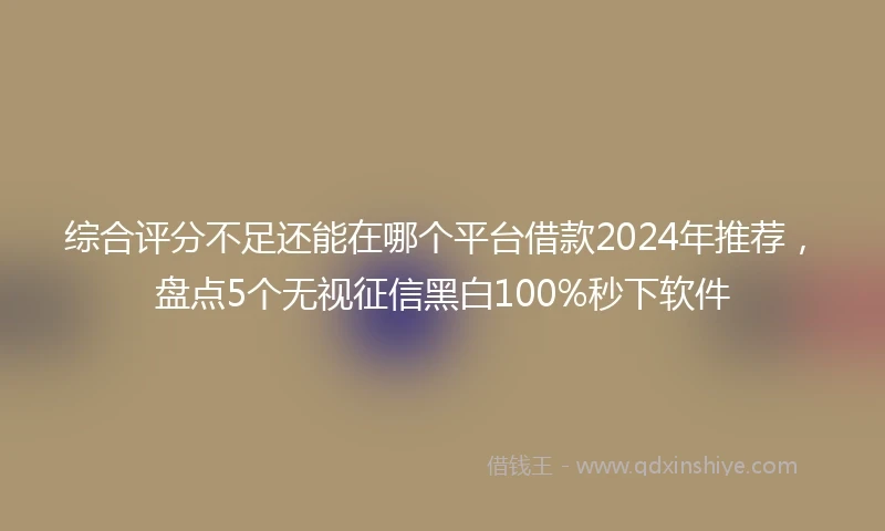 综合评分不足还能在哪个平台借款2024年推荐，盘点5个无视征信黑白100%秒下软件
