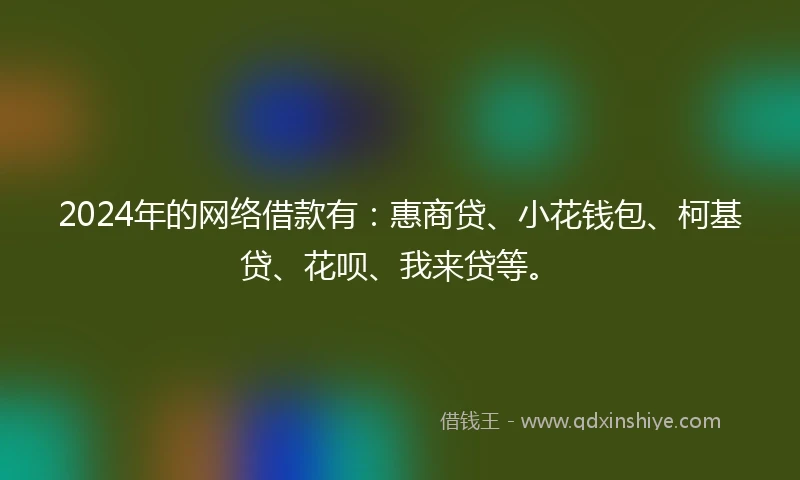 2024年的网络借款有：惠商贷、小花钱包、柯基贷、花呗、我来贷等。