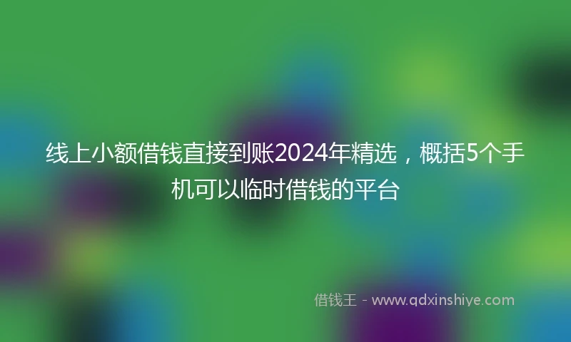 线上小额借钱直接到账2024年精选，概括5个手机可以临时借钱的平台