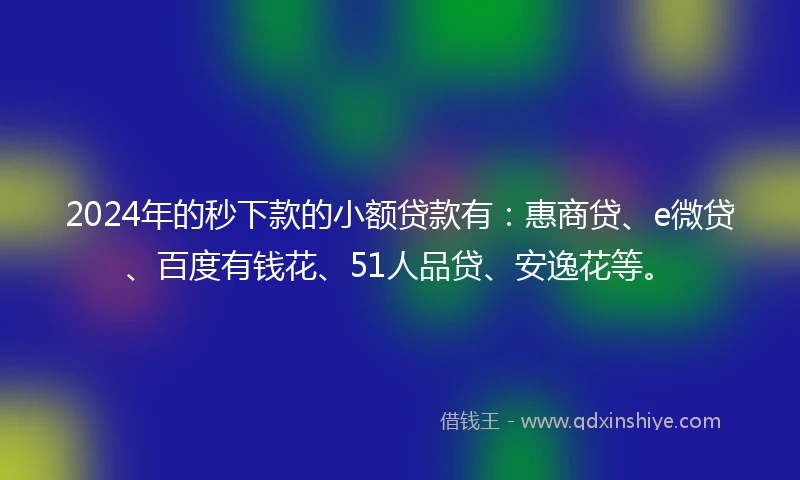 2024年的秒下款的小额贷款有：惠商贷、e微贷、百度有钱花、51人品贷、安逸花等。