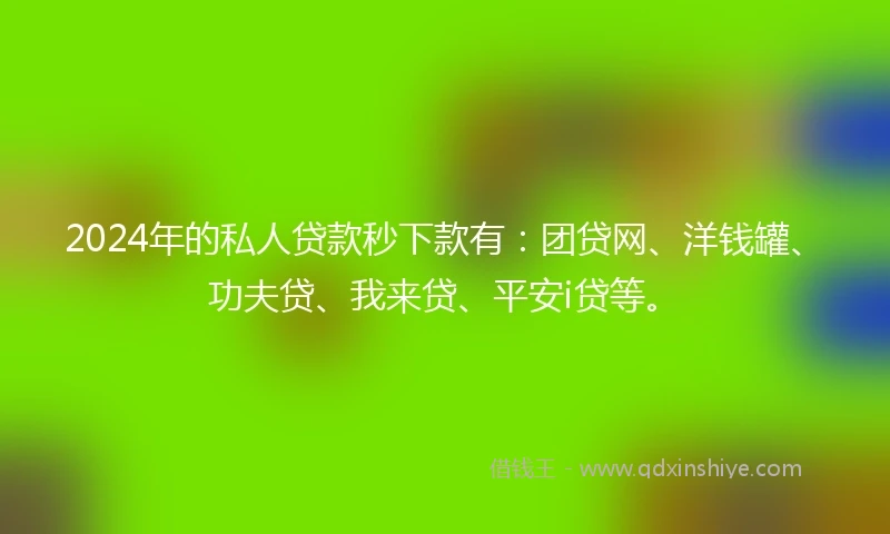 2024年的私人贷款秒下款有：团贷网、洋钱罐、功夫贷、我来贷、平安i贷等。