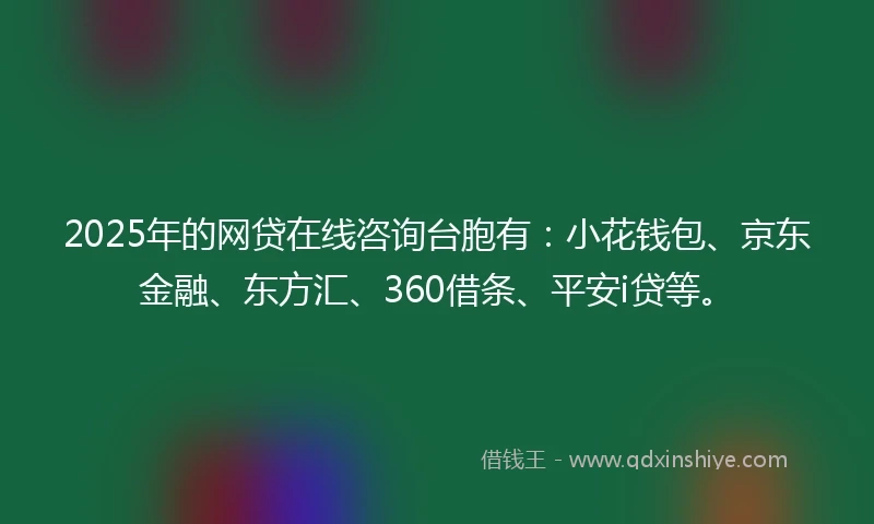 2025年的网贷在线咨询台胞有：小花钱包、京东金融、东方汇、360借条、平安i贷等。