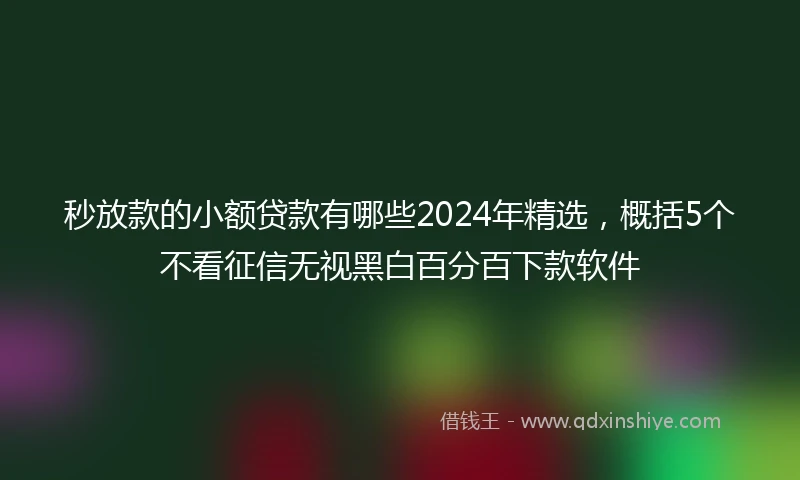 秒放款的小额贷款有哪些2024年精选，概括5个不看征信无视黑白百分百下款软件
