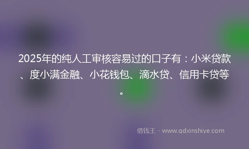 2025年的纯人工审核容易过的口子有：小米贷款、度小满金融、小花钱包、滴水贷、信用卡贷等。