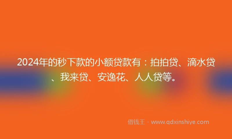 2024年的秒下款的小额贷款有：拍拍贷、滴水贷、我来贷、安逸花、人人贷等。