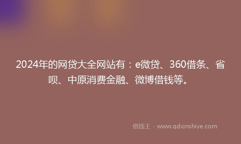 2024年的网贷大全网站有：e微贷、360借条、省呗、中原消费金融、微博借钱等。