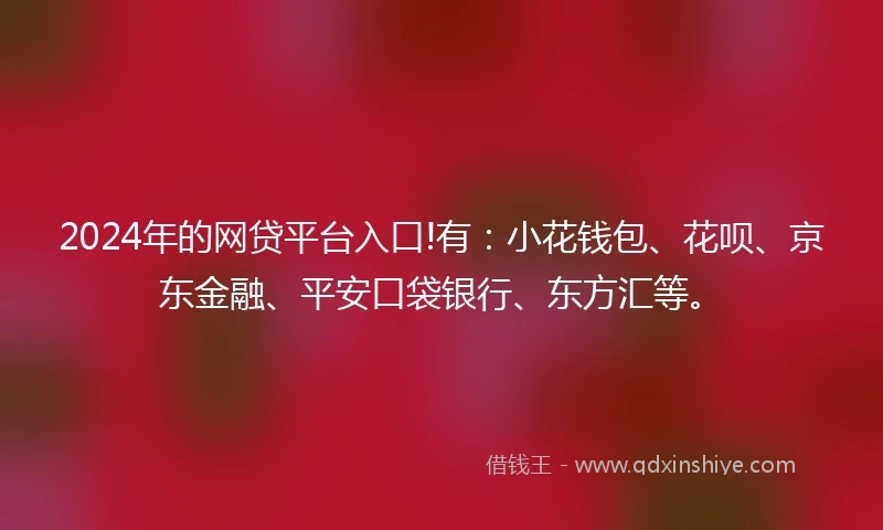 2024年的网贷平台入口!有：小花钱包、花呗、京东金融、平安口袋银行、东方汇等。