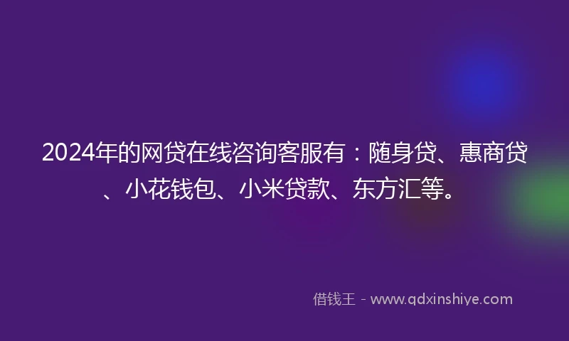 2024年的网贷在线咨询客服有：随身贷、惠商贷、小花钱包、小米贷款、东方汇等。