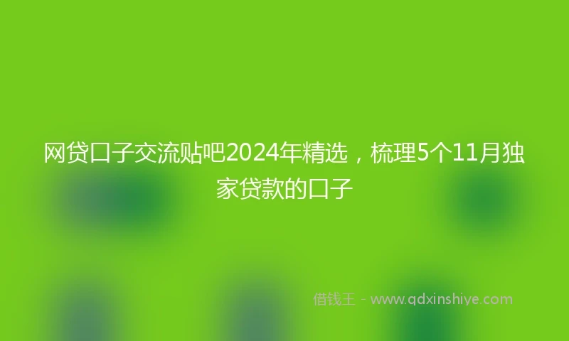 网贷口子交流贴吧2024年精选，梳理5个11月独家贷款的口子