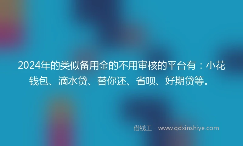 2024年的类似备用金的不用审核的平台有：小花钱包、滴水贷、替你还、省呗、好期贷等。