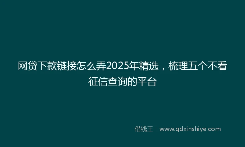 网贷下款链接怎么弄2025年精选，梳理五个不看征信查询的平台