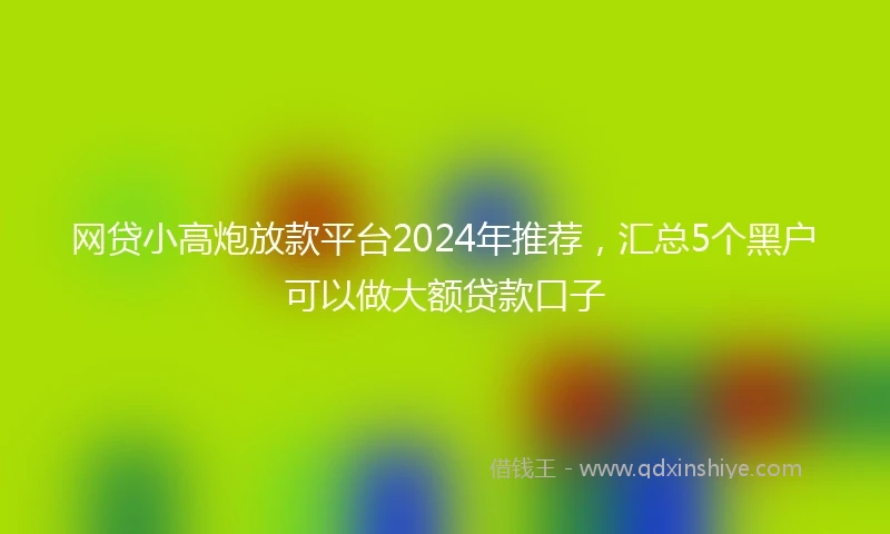 网贷小高炮放款平台2024年推荐，汇总5个黑户可以做大额贷款口子