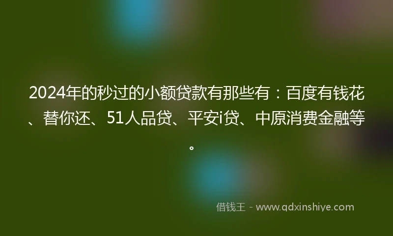 2024年的秒过的小额贷款有那些有：百度有钱花、替你还、51人品贷、平安i贷、中原消费金融等。