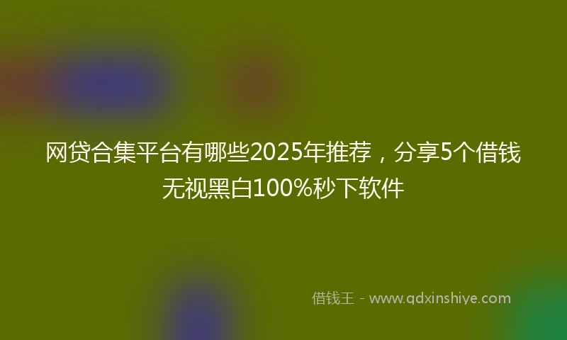 网贷合集平台有哪些2025年推荐，分享5个借钱无视黑白100%秒下软件