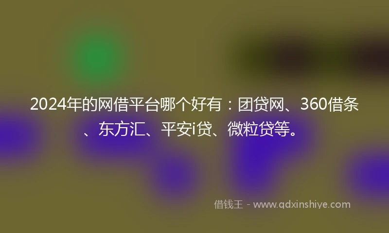 2024年的网借平台哪个好有：团贷网、360借条、东方汇、平安i贷、微粒贷等。
