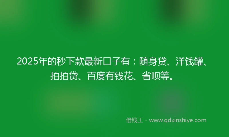 2025年的秒下款最新口子有：随身贷、洋钱罐、拍拍贷、百度有钱花、省呗等。