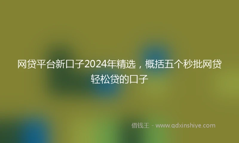 网贷平台新口子2024年精选，概括五个秒批网贷轻松贷的口子