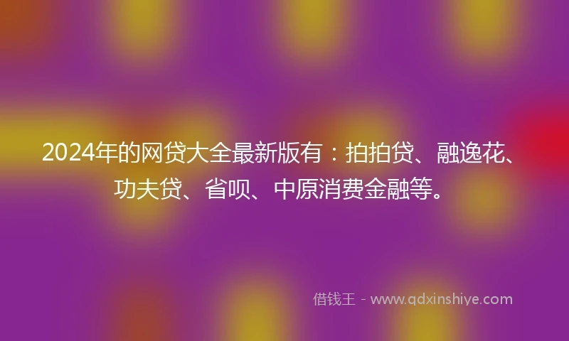 2024年的网贷大全最新版有：拍拍贷、融逸花、功夫贷、省呗、中原消费金融等。