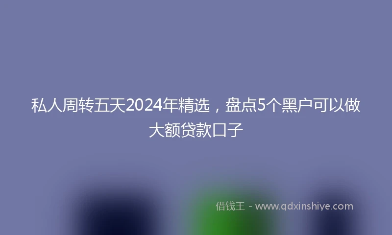 私人周转五天2024年精选，盘点5个黑户可以做大额贷款口子