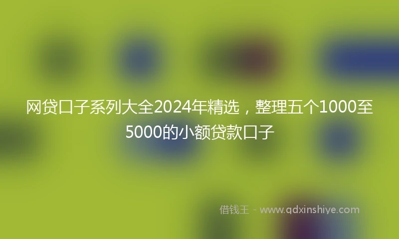 网贷口子系列大全2024年精选，整理五个1000至5000的小额贷款口子