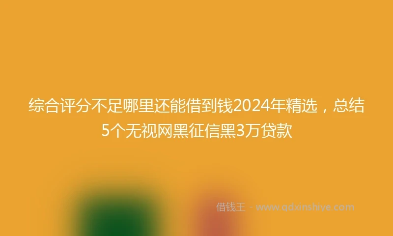 综合评分不足哪里还能借到钱2024年精选，总结5个无视网黑征信黑3万贷款
