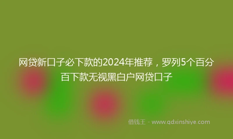 网贷新口子必下款的2024年推荐，罗列5个百分百下款无视黑白户网贷口子