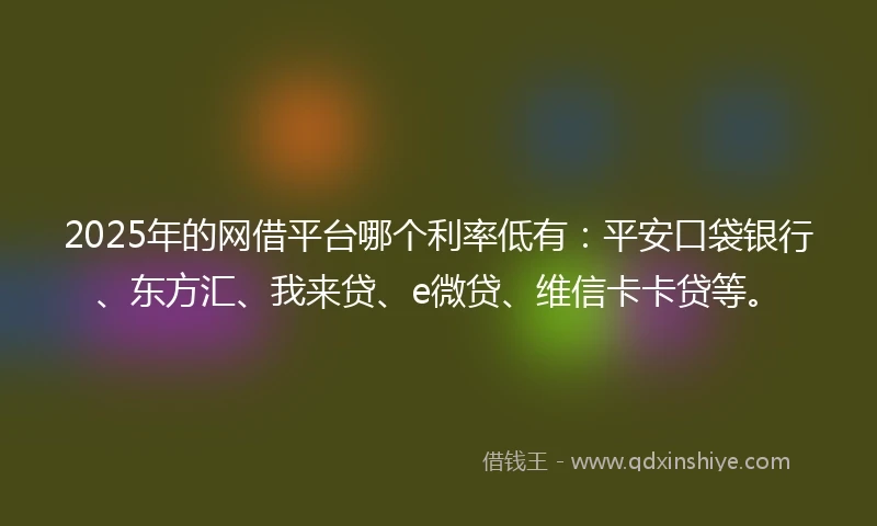 2025年的网借平台哪个利率低有：平安口袋银行、东方汇、我来贷、e微贷、维信卡卡贷等。