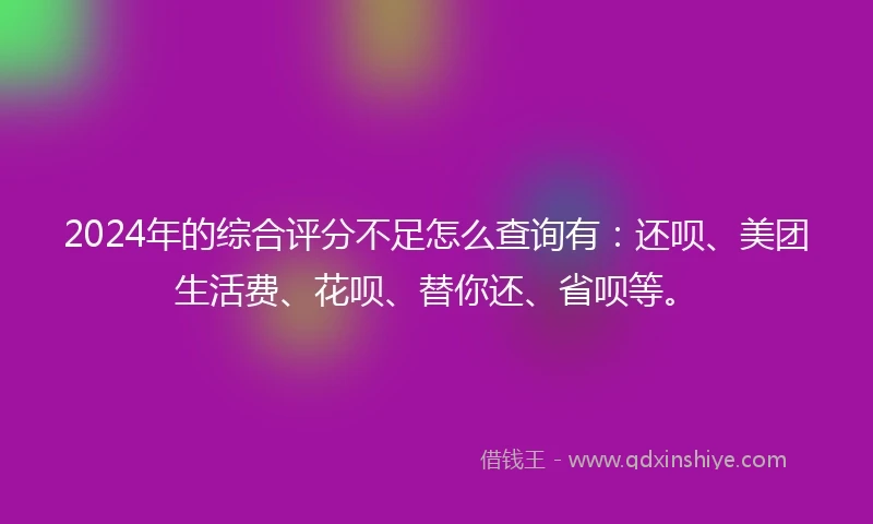 2024年的综合评分不足怎么查询有：还呗、美团生活费、花呗、替你还、省呗等。