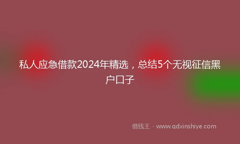 私人应急借款2024年精选，总结5个无视征信黑户口子