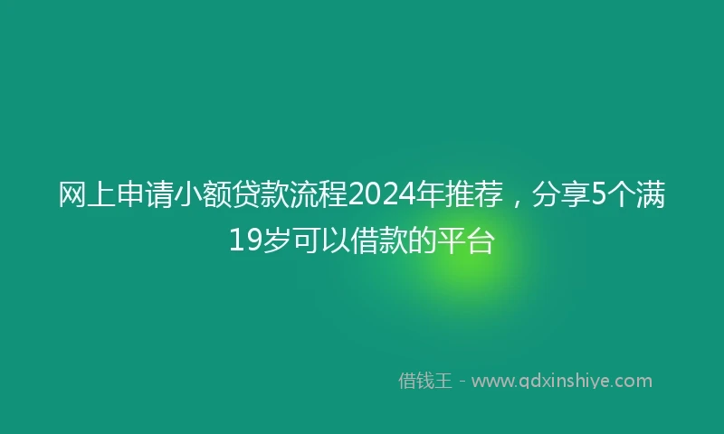 网上申请小额贷款流程2024年推荐，分享5个满19岁可以借款的平台